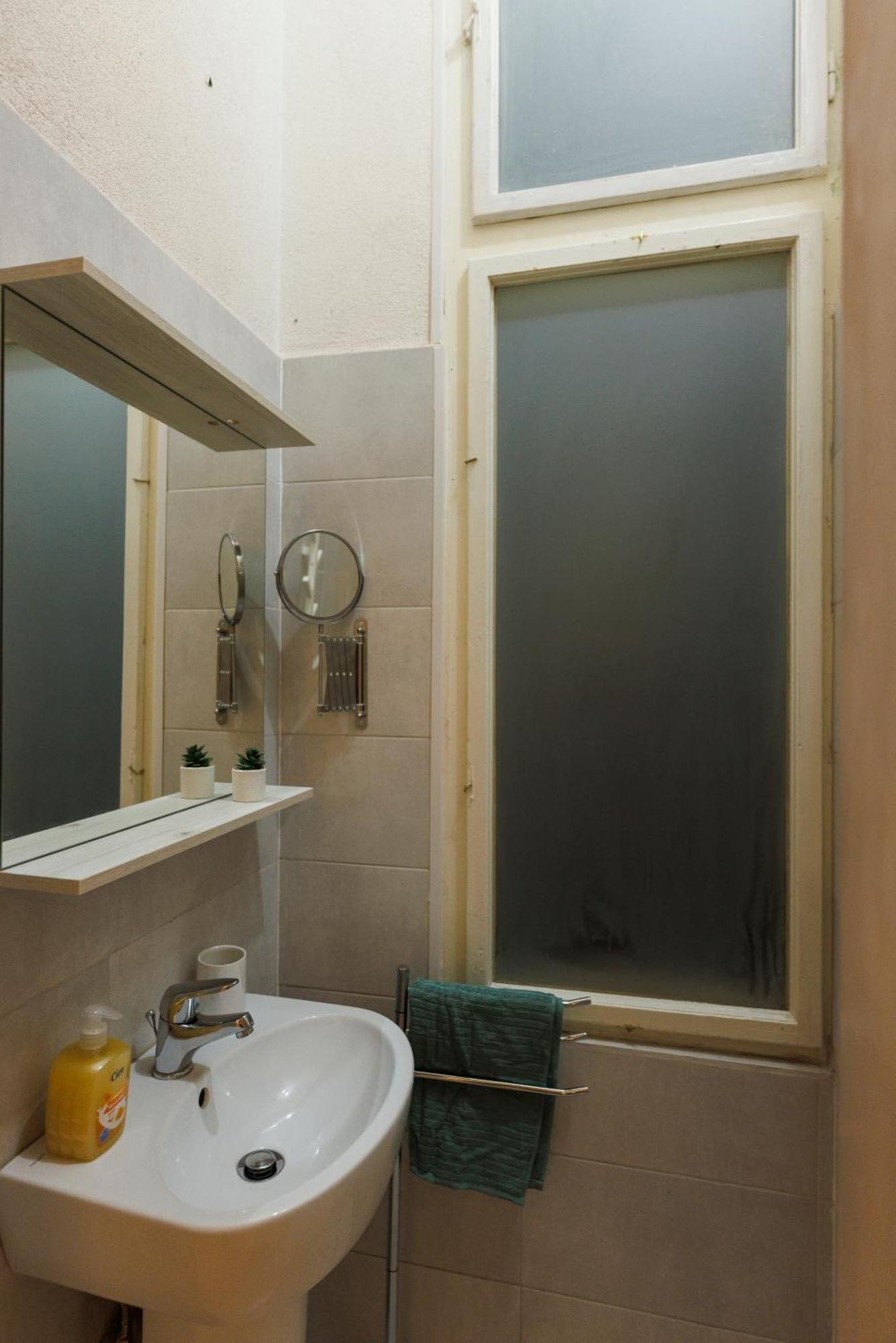 Victoriei Square Apartment 티미쇼아라 외부 사진